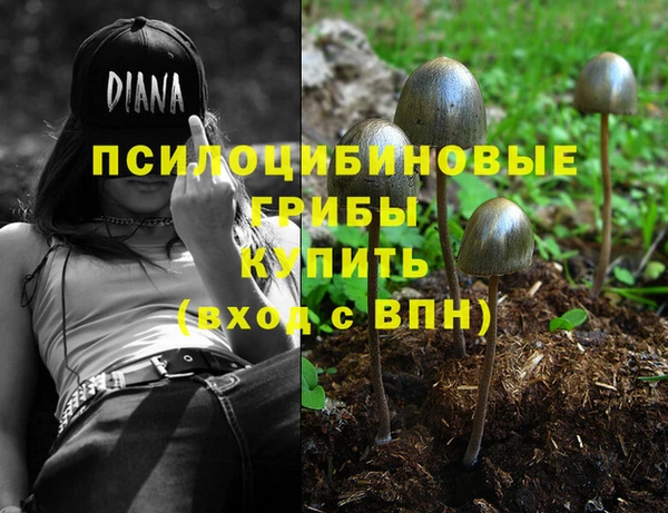 гидра Арсеньев