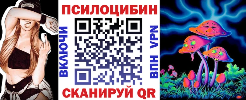 Галлюциногенные грибы Magic Shrooms  наркошоп  Светогорск 